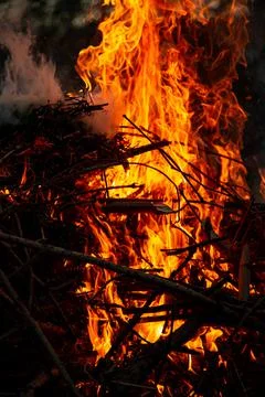 The evening fire is burning. Flames in high quality Stock Photos