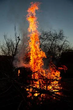 The evening fire is burning. Flames in high quality Stock Photos