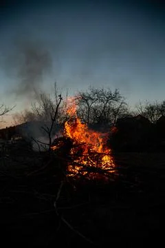The evening fire is burning. Flames in high quality Stock Photos