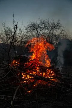The evening fire is burning. Flames in high quality Stock Photos
