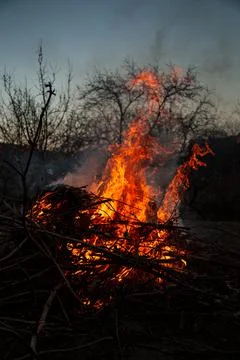 The evening fire is burning. Flames in high quality Stock Photos