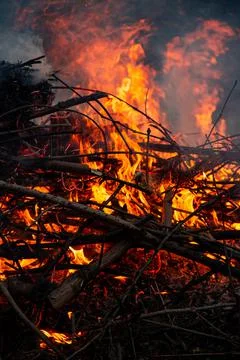 The evening fire is burning. Flames in high quality Stock Photos