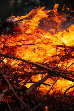 The evening fire is burning. Flames in high quality Stock Photos