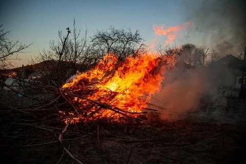 The evening fire is burning. Flames in high quality Stock Photos
