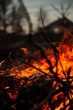 The evening fire is burning. Flames in high quality Stock Photos
