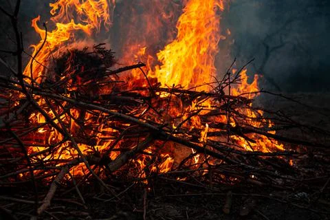 The evening fire is burning. Flames in high quality Stock Photos