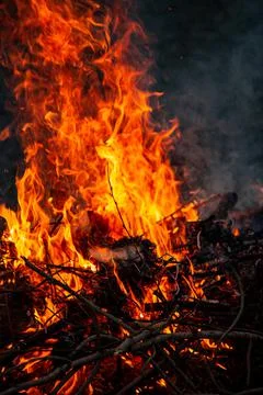 The evening fire is burning. Flames in high quality Stock Photos