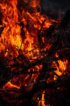 The evening fire is burning. Flames in high quality Stock Photos