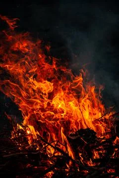The evening fire is burning. Flames in high quality Stock Photos