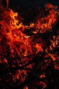 The evening fire is burning. Flames in high quality Stock Photos