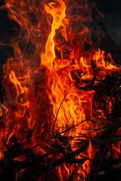 The evening fire is burning. Flames in high quality Stock Photos