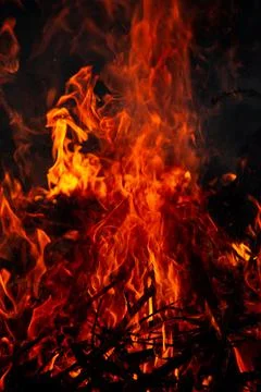 The evening fire is burning. Flames in high quality Stock Photos