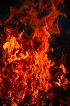 The evening fire is burning. Flames in high quality Stock Photos