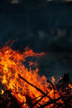 The evening fire is burning. Flames in high quality Stock Photos