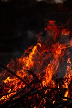 The evening fire is burning. Flames in high quality Stock Photos