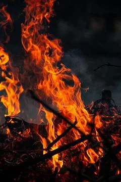 The evening fire is burning. Flames in high quality Stock Photos