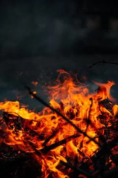 The evening fire is burning. Flames in high quality Stock Photos
