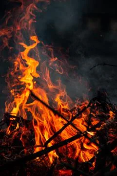 The evening fire is burning. Flames in high quality Stock Photos