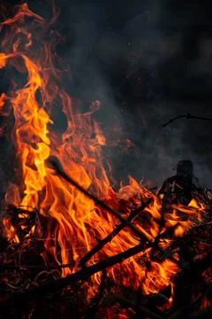 The evening fire is burning. Flames in high quality Stock Photos