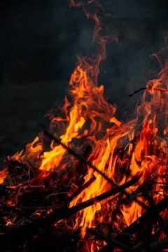 The evening fire is burning. Flames in high quality Stock Photos