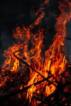 The evening fire is burning. Flames in high quality Stock Photos
