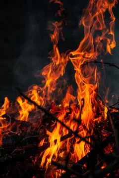 The evening fire is burning. Flames in high quality Stock Photos
