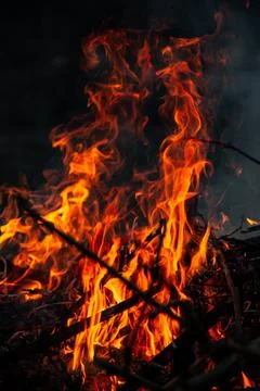 The evening fire is burning. Flames in high quality Stock Photos