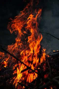The evening fire is burning. Flames in high quality Stock Photos