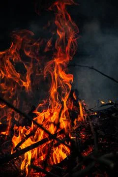 The evening fire is burning. Flames in high quality Stock Photos