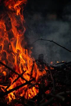 The evening fire is burning. Flames in high quality Stock Photos