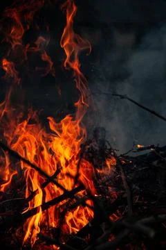 The evening fire is burning. Flames in high quality Stock Photos