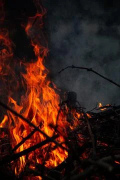 The evening fire is burning. Flames in high quality Stock Photos