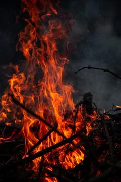 The evening fire is burning. Flames in high quality Stock Photos