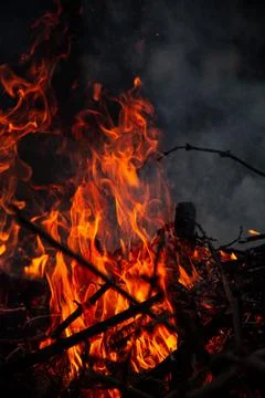The evening fire is burning. Flames in high quality Stock Photos