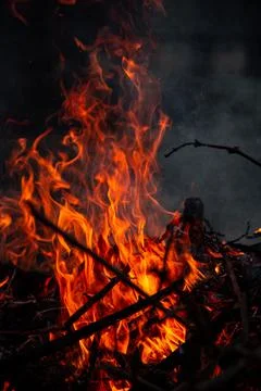 The evening fire is burning. Flames in high quality Stock Photos