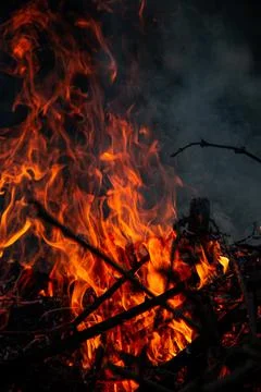 The evening fire is burning. Flames in high quality Stock Photos