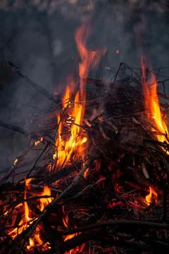 The evening fire is burning. Flames in high quality Stock Photos