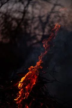 The evening fire is burning. Flames in high quality Stock Photos
