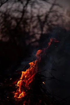 The evening fire is burning. Flames in high quality Stock Photos