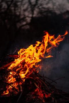 The evening fire is burning. Flames in high quality Stock Photos