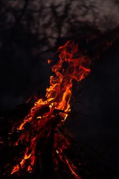 The evening fire is burning. Flames in high quality Stock Photos