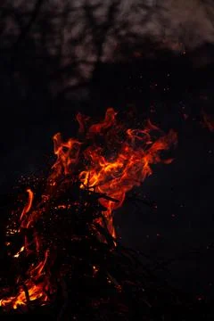The evening fire is burning. Flames in high quality Stock Photos