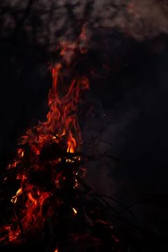 The evening fire is burning. Flames in high quality Stock Photos