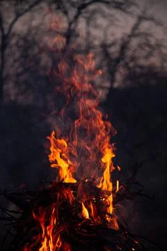 The evening fire is burning. Flames in high quality Stock Photos