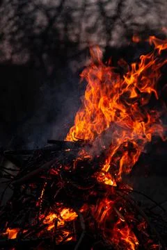 The evening fire is burning. Flames in high quality Stock Photos