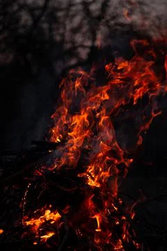 The evening fire is burning. Flames in high quality Stock Photos