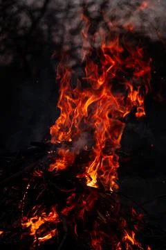 The evening fire is burning. Flames in high quality Stock Photos