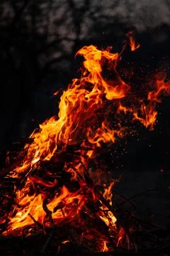 The evening fire is burning. Flames in high quality Stock Photos