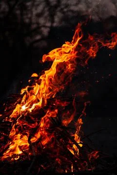 The evening fire is burning. Flames in high quality Stock Photos