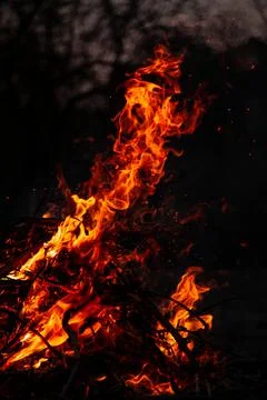 The evening fire is burning. Flames in high quality Stock Photos